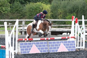 Class 6 - Fences not above 2'9